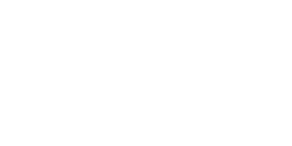 irish wheelchair basketball logo in white with transparent background